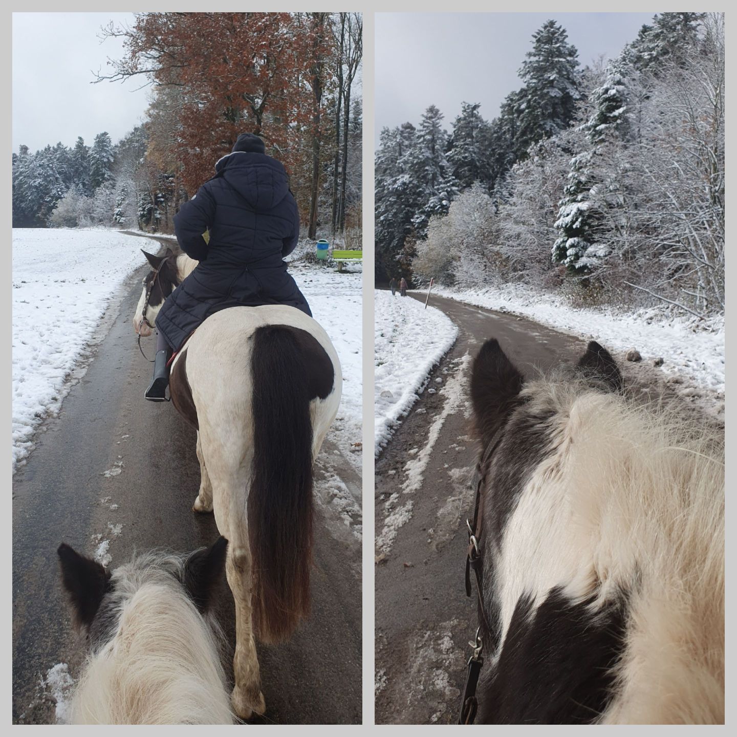 2023 11 November 617